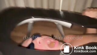 Toilet Flushes My Turds And Spit