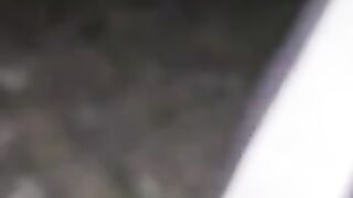 Scat driving