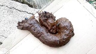 The flies enjoying my shit outdoors