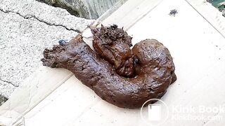 The flies enjoying my shit outdoors