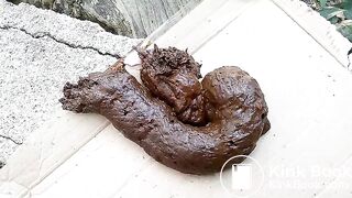 The flies enjoying my shit outdoors