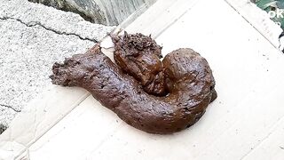 The flies enjoying my shit outdoors