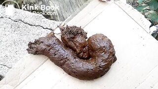 The flies enjoying my shit outdoors