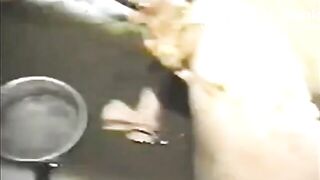 Filthy  Shit Slag Begs To Be Used as  Human Toilet