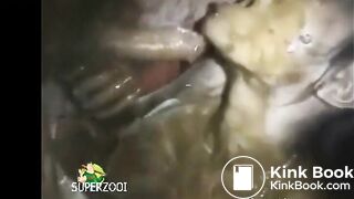 Asian Bimbo  Feasts on Shit Covered Cock & Asshole