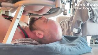 Feeding a Bald Shiteater