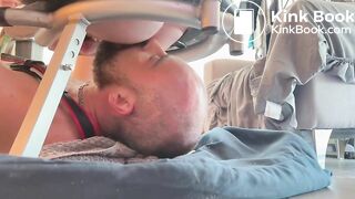 Feeding a Bald Shiteater