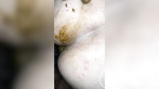 Shit Fucking