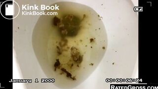 Toilet shit eater