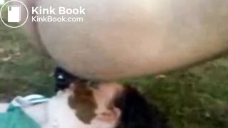 Shitting on girl's face while she is sleeping