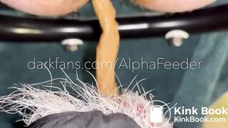 Alpha Feeding an  Old Pig