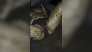 WE LOVE SHIT!!! Compilation
