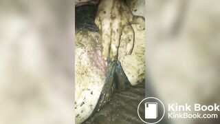 WE LOVE SHIT!!! Compilation