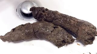 A Nice Close-Up Shit in the Sink