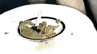 Scat fun