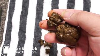 Squishing Dense Turd in My Hand (ASMR - Sound On)