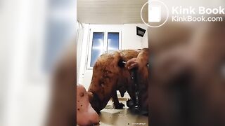 Ass fucking fun