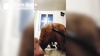 Ass fucking fun