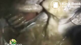 Honey Bee SucksRims Shit Covered CockAsshole