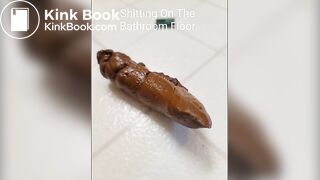 A peaceful poop on the bathroom floor