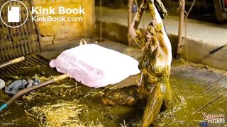 Betty Playing in Cow Scat