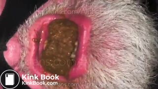 Toilet Dad Eats  - 13 MIN SCAT VID