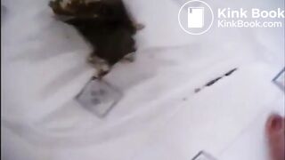 Shitting