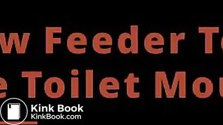 New Feeder