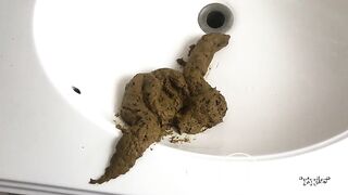 Huge Sloppy Shit Pile in the Sink