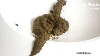 Huge Sloppy Shit Pile in the Sink