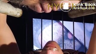 Feeding Hytperion