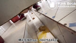 Beautiful women poop in the toilet