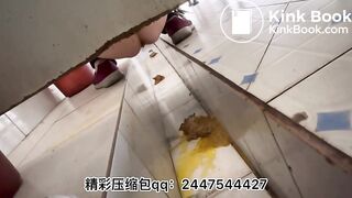 Beautiful women poop in the toilet