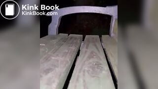 Shitting on a Public Bench