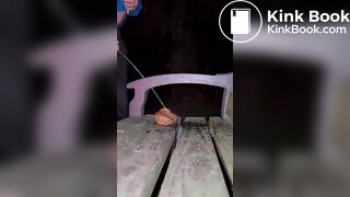 Shitting on a Public Bench