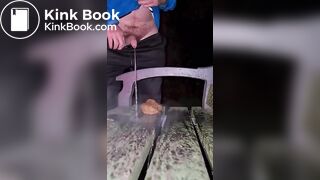 Shitting on a Public Bench