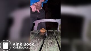 Shitting on a Public Bench