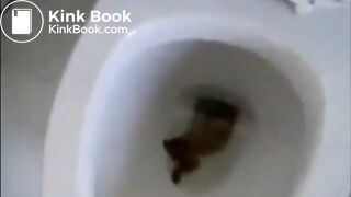 Shitting