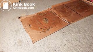 Milf walk on dog shit and wash the floor