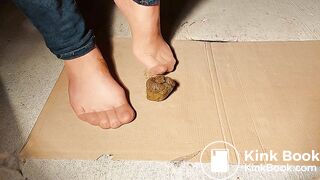 Very Messy Trouser Socks Scat Dog