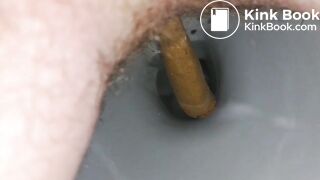 Feeding my toilet