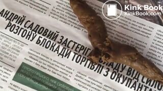 Dirty scat????????…text me +1 8768629935