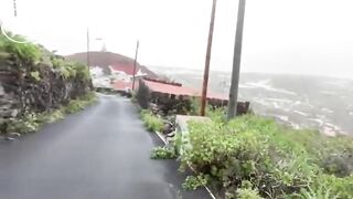 V3g4n L1nd4 shitting on the road