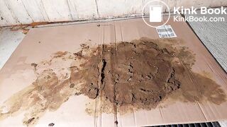 Very Nasty Asian Brown Dog