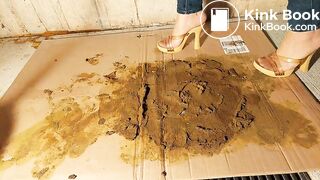 Very Nasty Asian Brown Dog