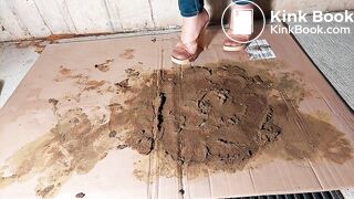 Very Nasty Asian Brown Dog