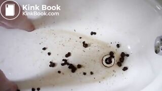 bbw lady huge shit after enema