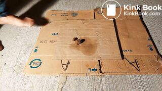 Dog Shit Under My Pantyhose