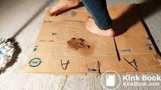 Dog Shit Under My Pantyhose