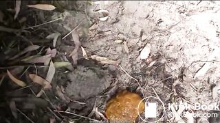 BBW pooping outdoors